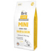 Brit Care Mini GF Hair/Skin 2 kg
