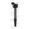 BorgWarner (BERU) Zapalovací cívka ZSE184