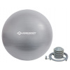 Gymnastická lopta Schildkröt Gymnastic Ball 55cm - Strieborný