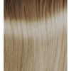 Osmo IKON farba na vlasy Intense Ash Scandinavian Blonde (12.10) 100ml