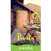 E-kniha Povala - Darina Matichová