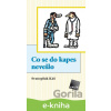 E-kniha Co se do kapes nevešlo - Svatopluk Káš