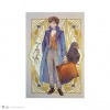 Distrineo Fantastická zvířata zápisník A5 Newt Scamander