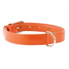 Collar Glamour kožený obojok 38 49cm/25mm Farba: oranžová