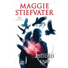 Zloději snů - Maggie Stiefvater