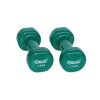 Vinylové činky Master 2x 1,5 kg 2 ks