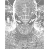 ZUTY Bodkovanie - PORTRÉT SPIDERMAN Rámovanie: vypnuté plátno na rám, Rozmer: 40x50 cm