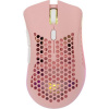 White Shark Lionel Pink WGM-5012