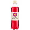 Rauch Carpe Diem Kombucha original 12 x 0,5 l