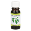 Kozáček Vonná esencia Eukalypt 10 ml