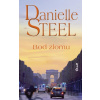 Bod zlomu - Danielle Steel
