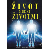 Život medzi životmi
