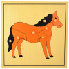 Montessori puzzle Kôň (bez kostry)
