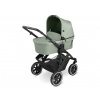 ABC Design Salsa 4 Air Pine 2024