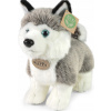 Eco-Friendly Rappa pes husky stojící 23 cm