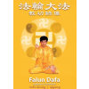 Falun DAFA - dvd