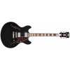 D'Angelico Premier DC Black