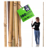 Tyčka Kadax bambus 180 cm x 16 mm 15 ks