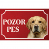 Zlatý retríver - Kovová tabuľka POZOR PES