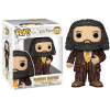 Funko Pop! Harry Potter Rubeus Hagrid 15 cm 171