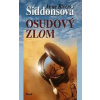 Osudový zlom - Anne Rivers Siddonsová