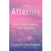 The Afterlife