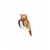 Nástenná dekorácia Studio ROOF Tawny Owl (Sova obyčajná)