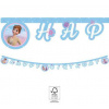 Procos EKO Baner HB - Frozen 2