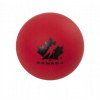 Winnwell Team Canada carded