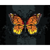 Diamondi Diamantové maľovanie ORANŽOVÝ MOTÝĽ NA ČIERNOM POZADIÍ vypnuté plátno na rám