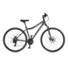 Bicykel Author Horizon Asl 2023/24 Matná Šedá Veľkosť rámu: 15
