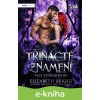 E-kniha Třinácté znamení - Elizabeth Briggs