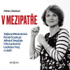 V mezipatře - Mirko Stieber (mp3 audiokniha)