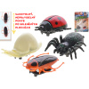 Jungle Expedition hmyz 4cm 4ks na kartě