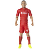 Sockers LIVERPOOL FC Van Dijk 20 cm