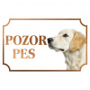 Zlatý retríver - Kovová tabuľka POZOR PES