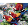 Maľovanie podľa čísel – Papagáje na konári nad vodopádom (Howard Robinson), 80 × 100 cm, bez rámu a bez napnutia plátna 8596530061427