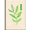 Diár týždenný FSC A5 14,2x20,4 cm - EKO 2026