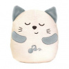 Chicco First Dreams