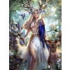 Norimpex Diamantové maľovanie Kráľovná lesných elfov 40x30cm