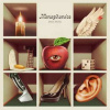 LP Monophonics: Sage Motel LTD | CLR