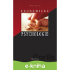 E-kniha Ekonomická psychologie - Karel Riegel