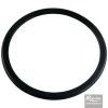 Regulus Těsnicí kroužek RegulusFLEX pr. 125 15954