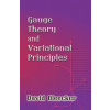 Gauge Theory and Variational Principles