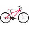 Junior bicykel - Storm Queen VBr 24 