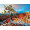 EUROGRAPHICS Puzzle Zimné svitanie, Bryce Canyon 1000 dielikov