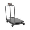 Steinberg Systems Plošinová váha - 1000 kg / 0,2 kg - 60 x 80 cm - LED SBS-PF-1000/200