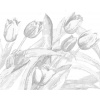ZUTY Bodkovanie - FIALOVÉ TULIPÁNY Rámovanie: bez rámu a bez vypnutia plátna, Rozmer: 80x100 cm