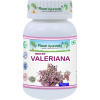 Indická Valeriána spánok pokojná myseľ 500mg 60 kapsúl