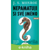 E-kniha Nepamatuji si své jméno - J. S. Monroe